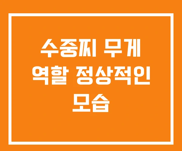 수중찌 무게 역할 정상적인 모습 수중찌 무게 역할 정상적인 모습