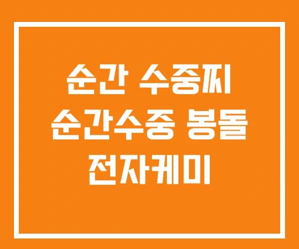 순간 수중찌 순간수중 봉돌 전자케미