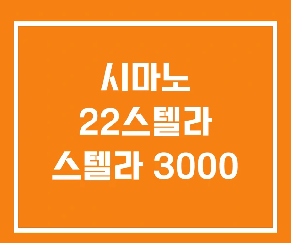 시마노 22스텔라 스텔라 3000