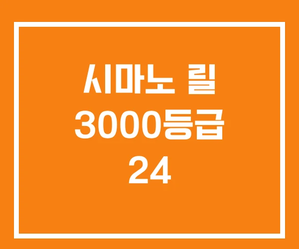시마노 릴 3000등급 24