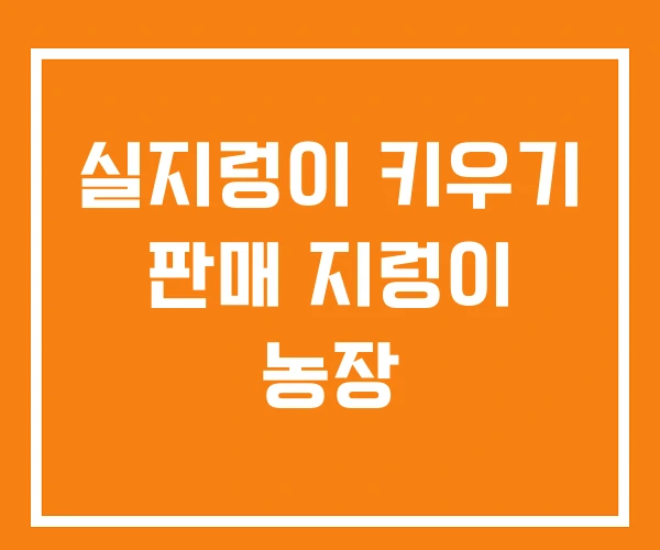 실지렁이 키우기 판매 지렁이 농장 실지렁이 키우기 판매 지렁이 농장