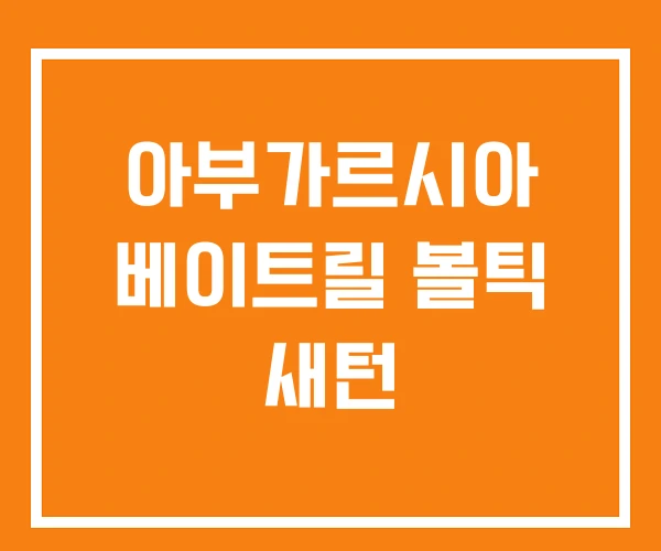 아부가르시아 베이트릴 볼틱 새턴 아부가르시아 베이트릴 볼틱 새턴