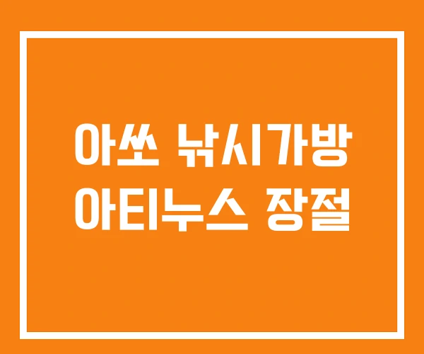 아쏘 낚시가방 아티누스 장절 아쏘 낚시가방 아티누스 장절