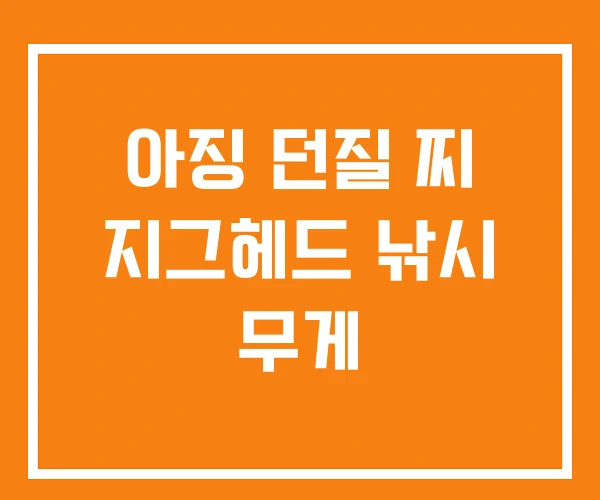 아징 던질 찌 지그헤드 낚시 무게
