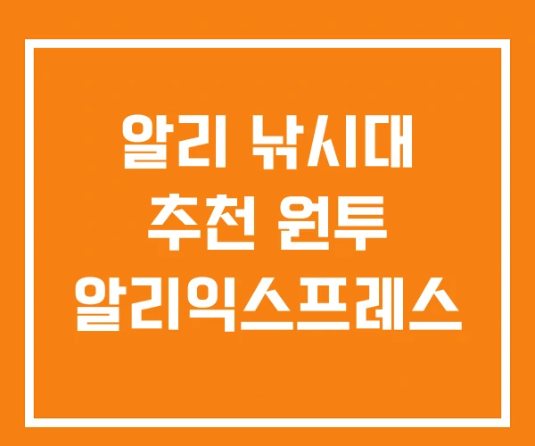 알리 낚시대 추천 원투 알리익스프레스
