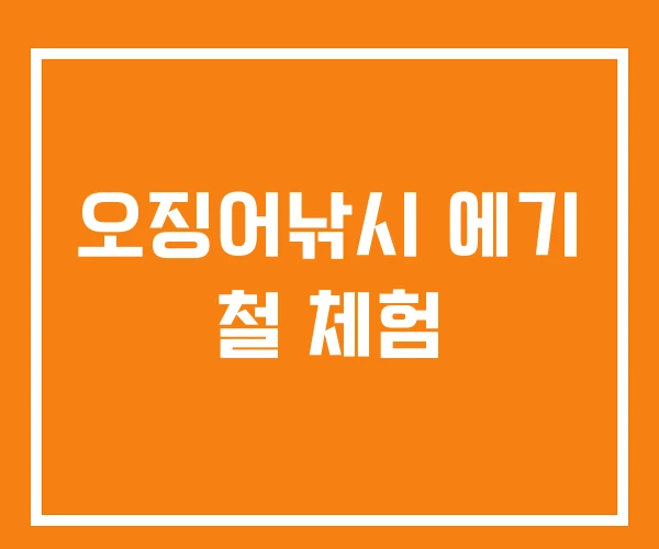 오징어낚시 에기 철 체험 오징어낚시 에기 철 체험