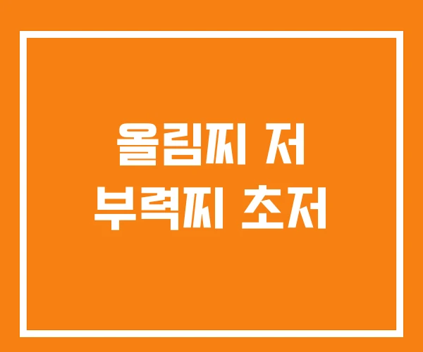 올림찌 저 부력찌 초저