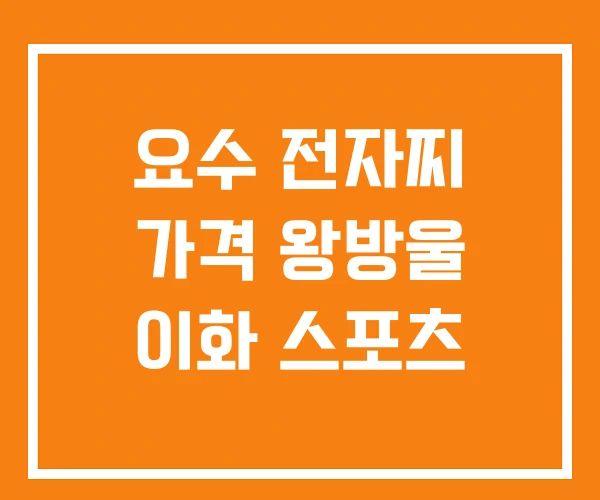 요수 전자찌 가격 왕방울 이화 스포츠