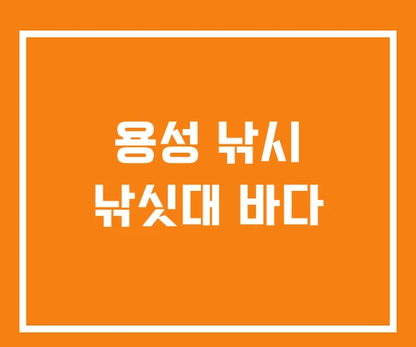 용성 낚시 낚싯대 바다