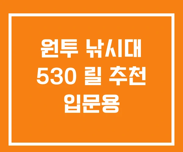 원투 낚시대 530 릴 추천 입문용 원투 낚시대 530 릴 추천 입문용