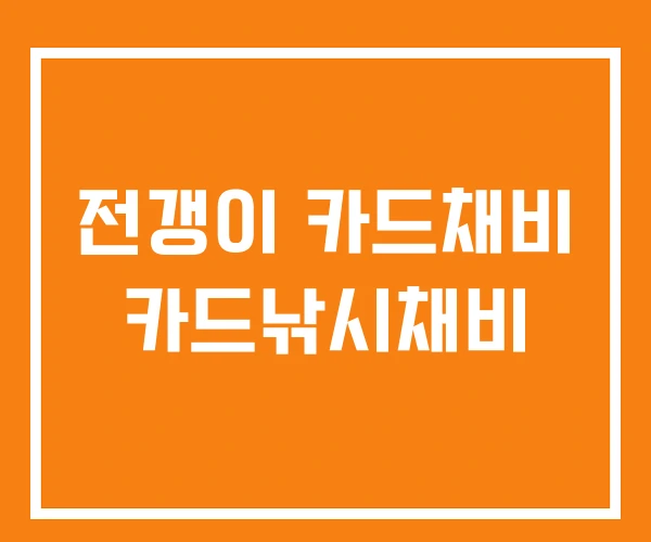 전갱이 카드채비 카드낚시채비
