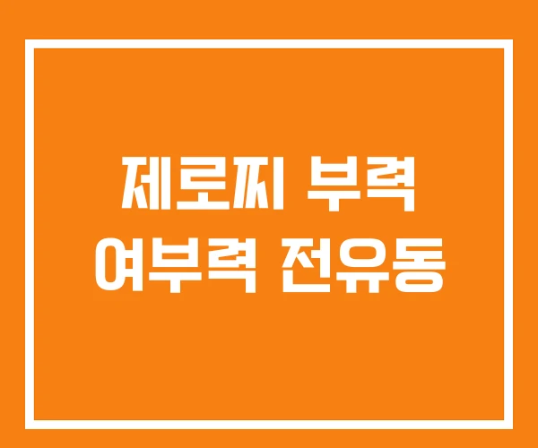 제로찌 부력 여부력 전유동