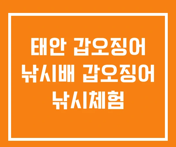 태안 갑오징어 낚시배 갑오징어 낚시체험 태안 갑오징어 낚시배 갑오징어 낚시체험