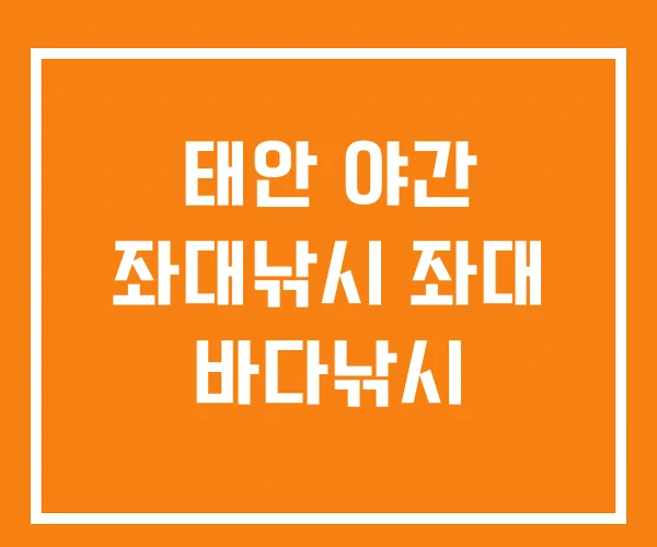 태안 야간 좌대낚시 좌대 바다낚시 태안 야간 좌대낚시 좌대 바다낚시